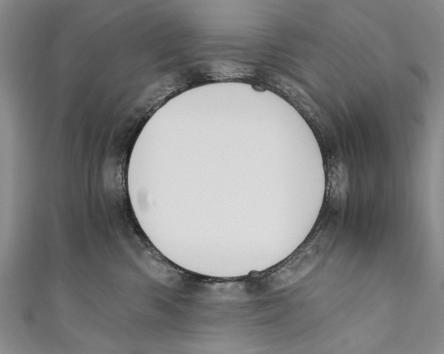 X0000110670426200907101110