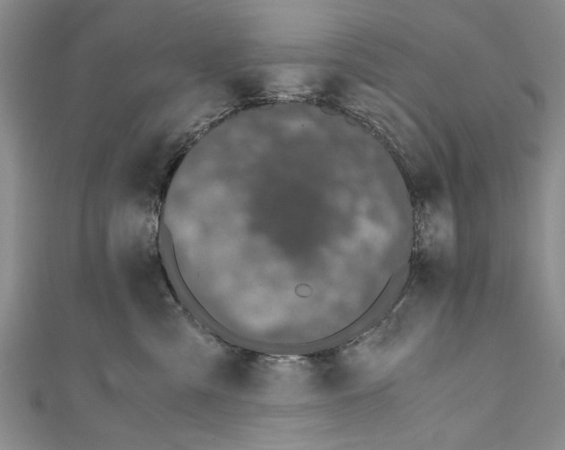 X0000110670427200907101110