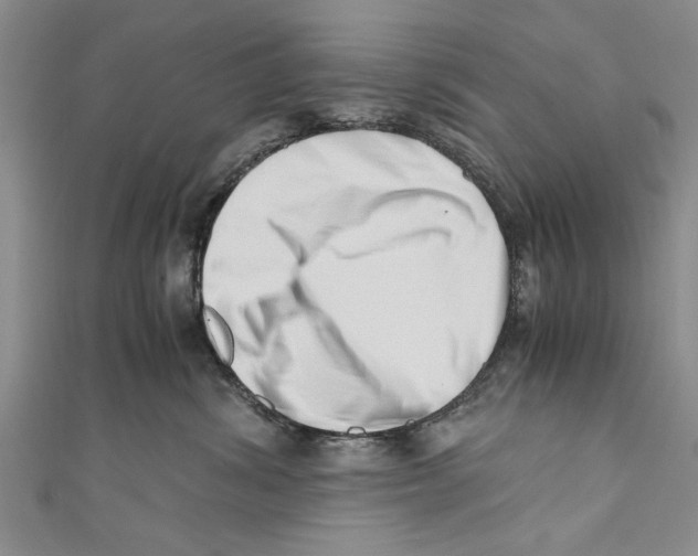 X0000110670428200907101110