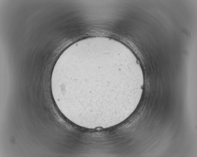 X0000110670433200907101110