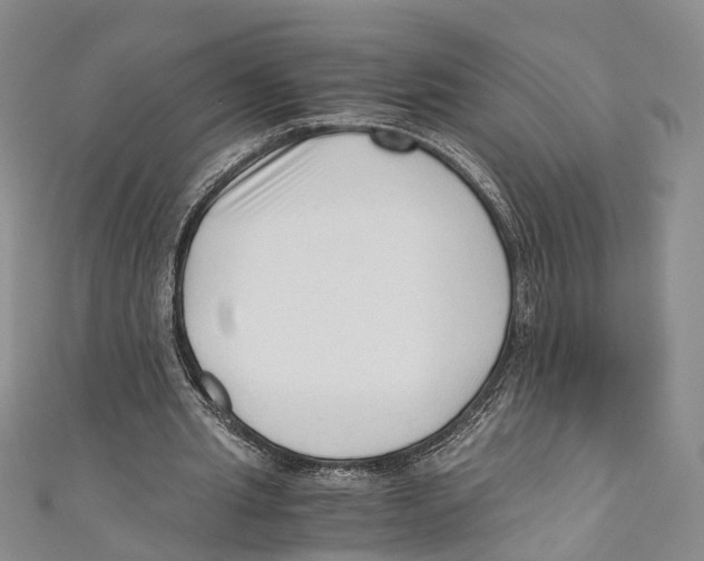 X0000110670437200907101110