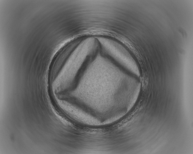 X0000110670438200907101110