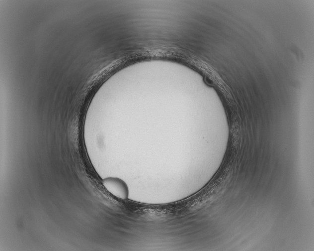X0000110670442200907101110