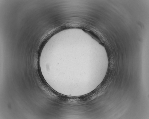 X0000110670446200907101110
