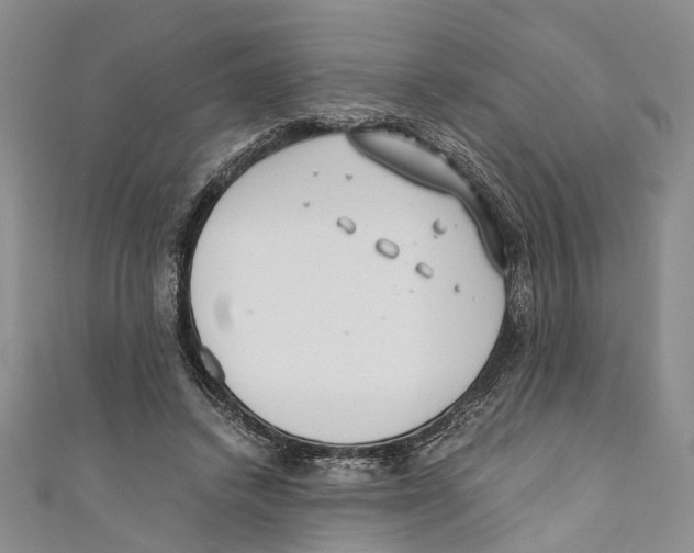X0000110670448200907101110