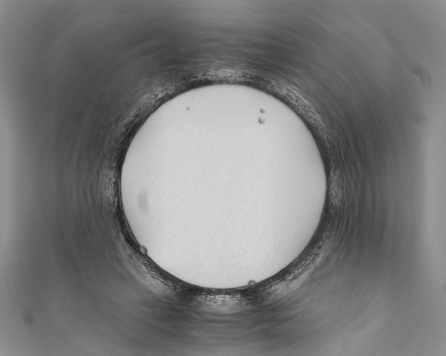 X0000110670449200907101110