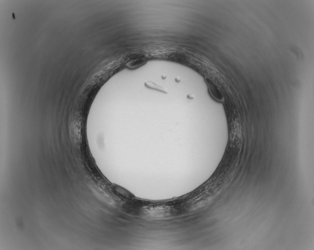 X0000110670452200907101110