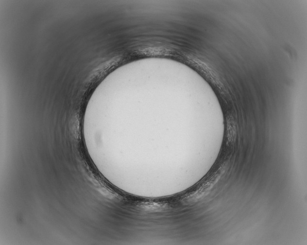 X0000110670453200907101110