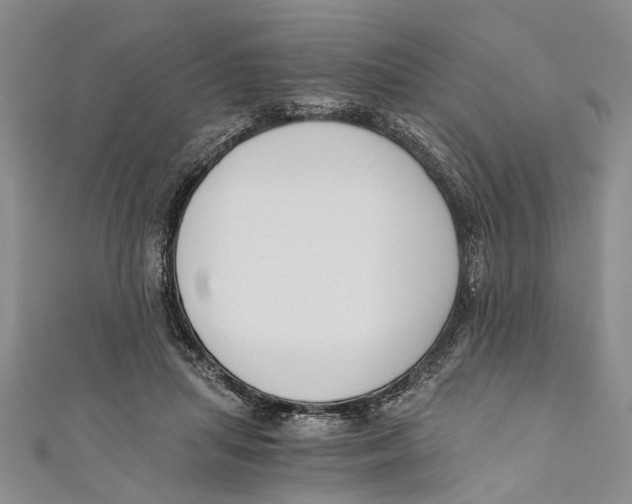X0000110670455200907101110