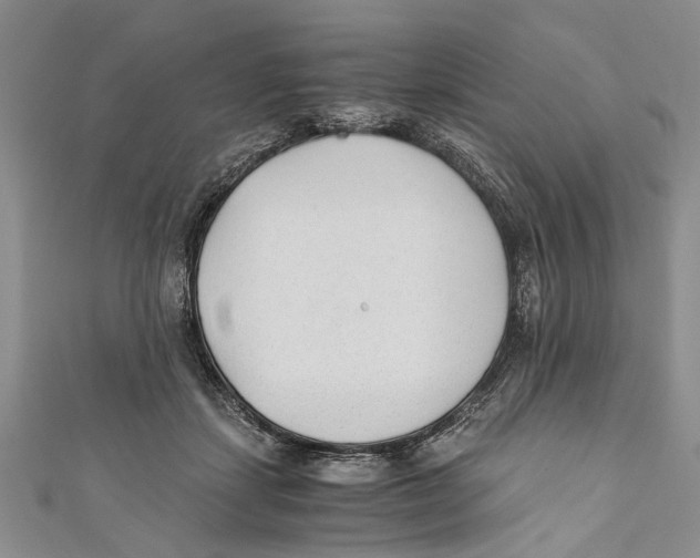 X0000110670459200907101110