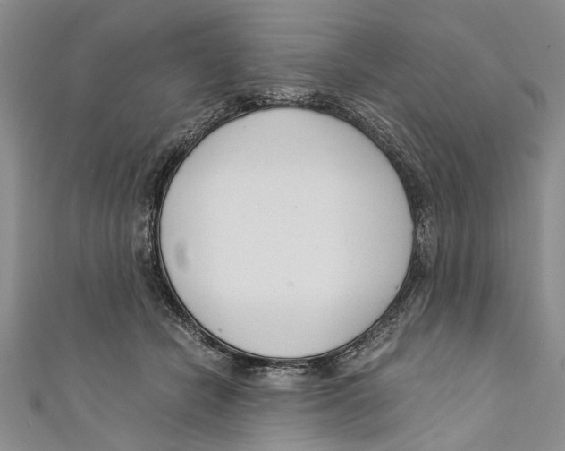X0000110670462200907101110