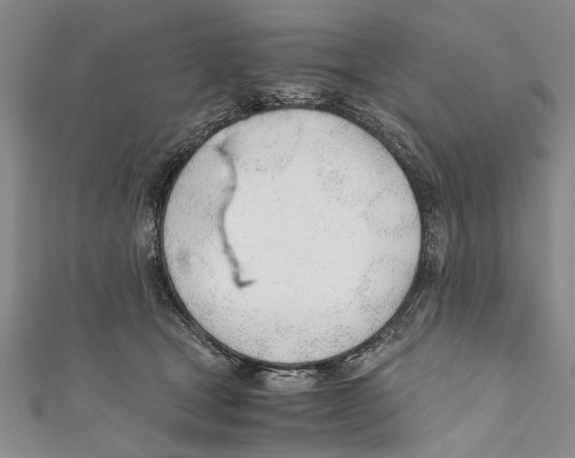 X0000110670465200907101110