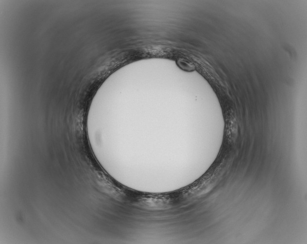 X0000110670466200907101110