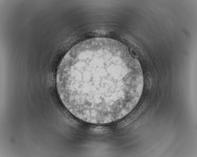 X0000110670467200907101110