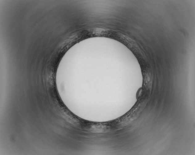 X0000110670470200907101110