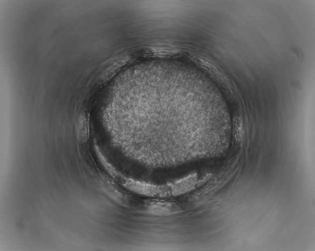X0000110670471200907101110