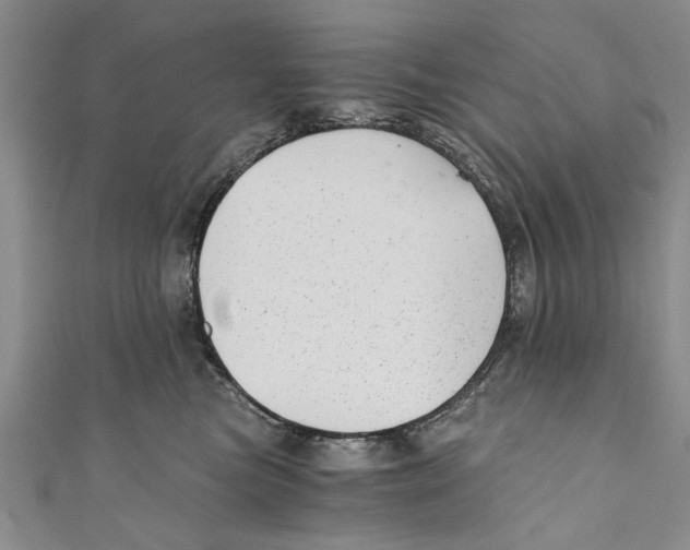 X0000110670473200907101110