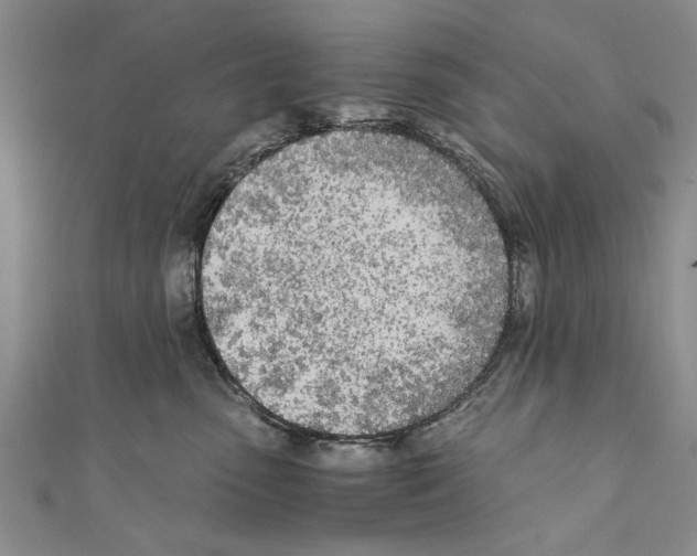 X0000110670475200907101110
