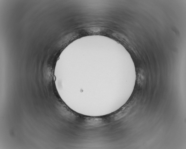 X0000110670476200907101110