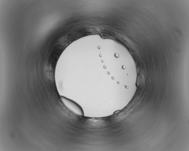 X0000110670477200907101110