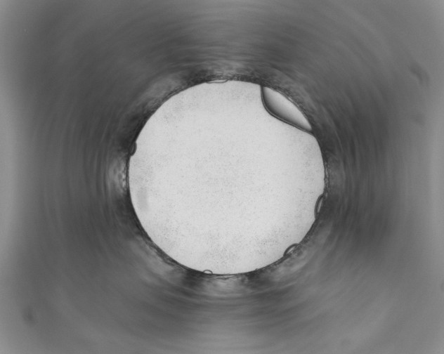 X0000110670479200907101110