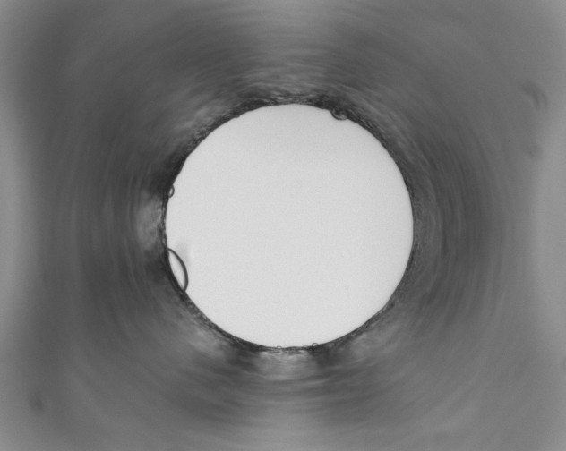 X0000110670480200907101110