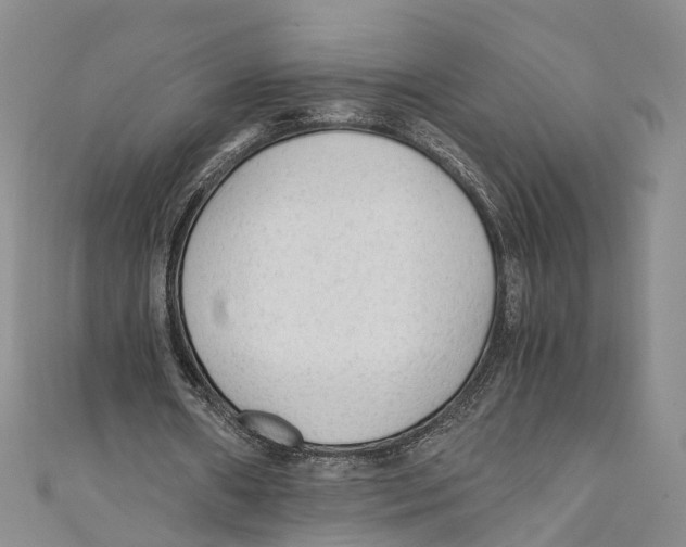 X0000110670482200907101109