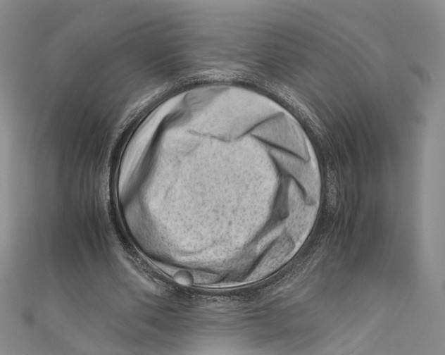 X0000110670486200907101109