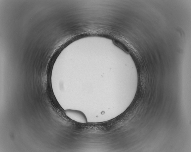 X0000110670488200907101109
