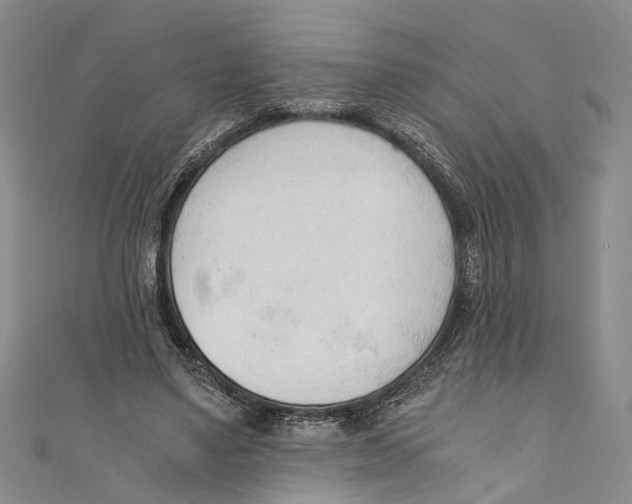 X0000110670491200907101109
