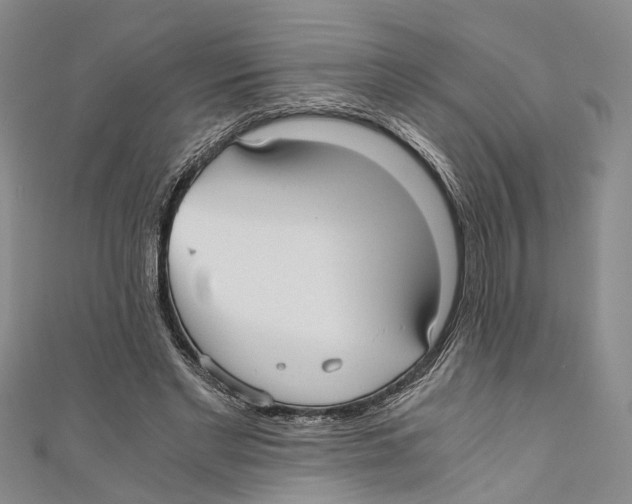 X0000110670493200907101109