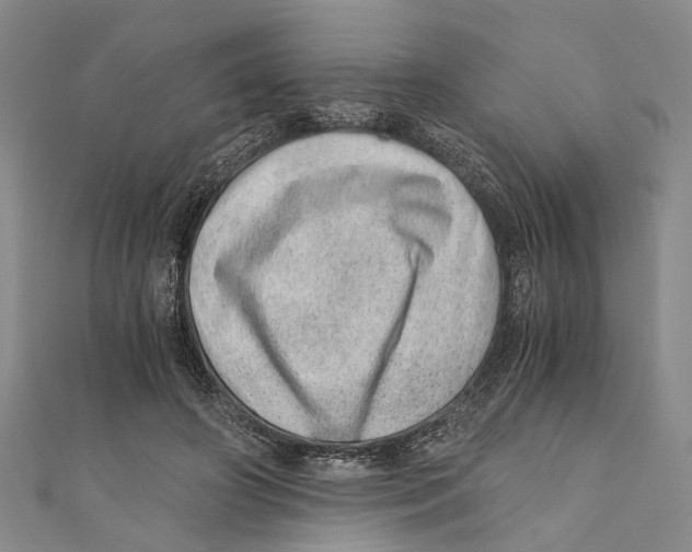 X0000110670498200907101109