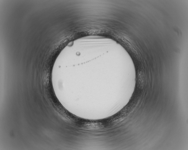 X0000110670499200907101109