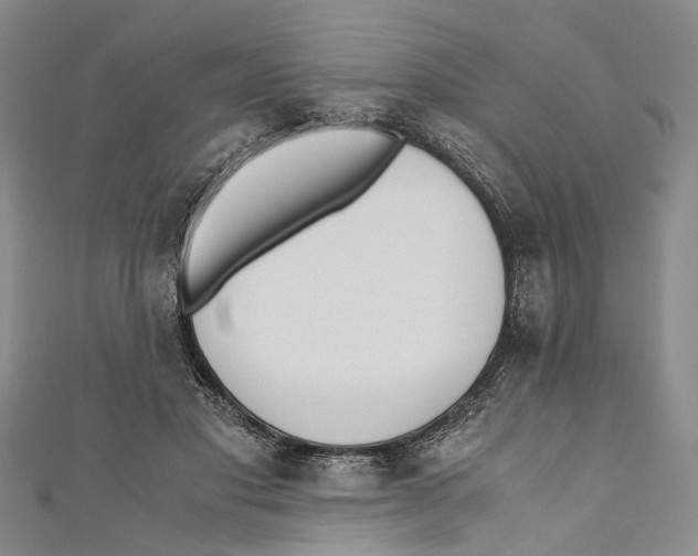 X0000110670501200907101109