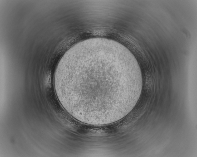 X0000110670502200907101109
