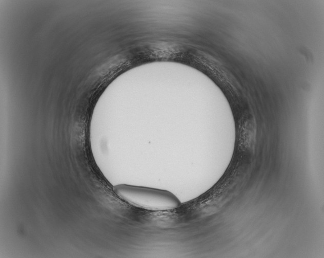X0000110670505200907101109