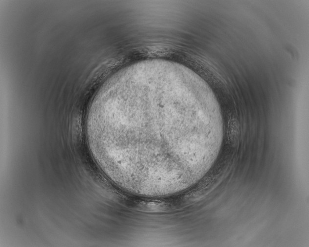 X0000110670506200907101109