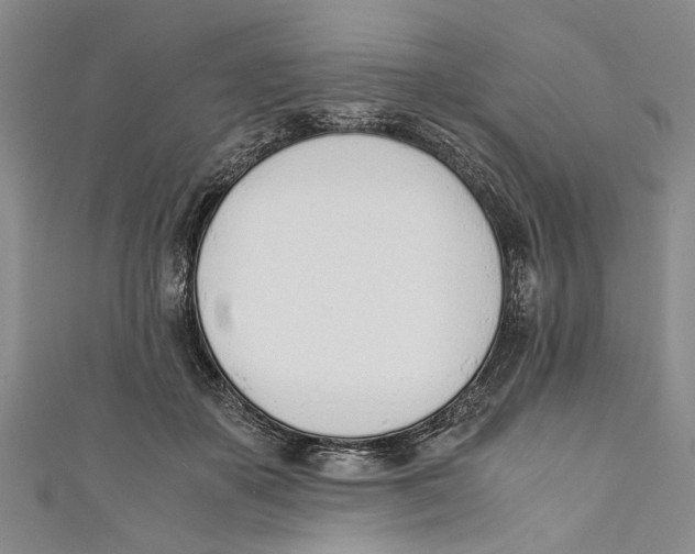 X0000110670507200907101109