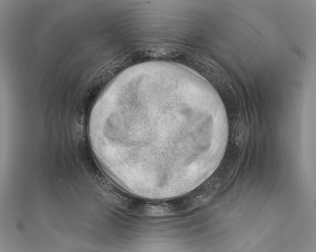X0000110670510200907101109