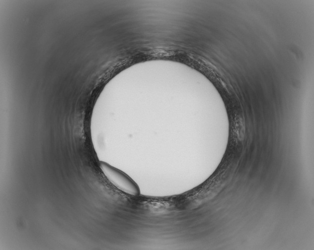X0000110670512200907101109