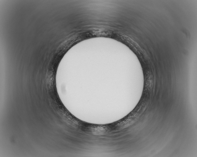 X0000110670513200907101109