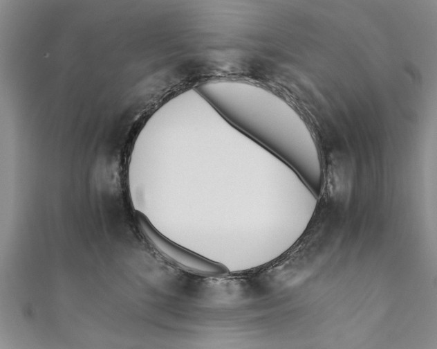 X0000110670520200907101109