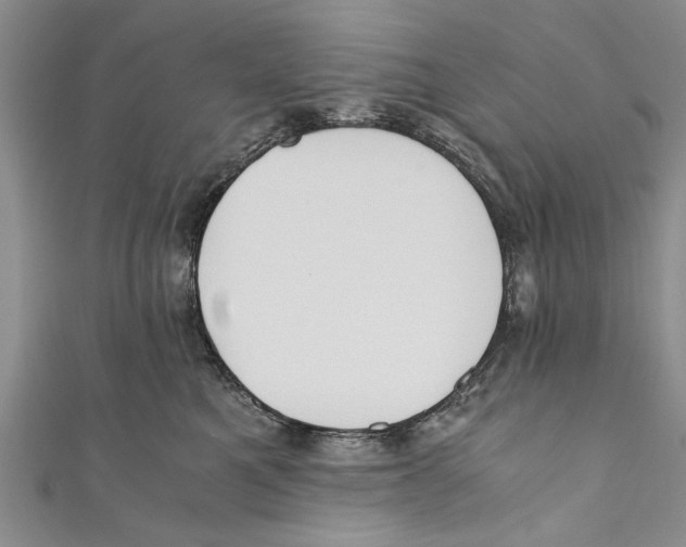X0000110670521200907101109