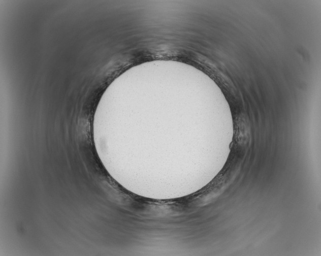 X0000110670523200907101109