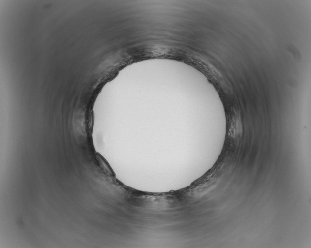 X0000110670524200907101109