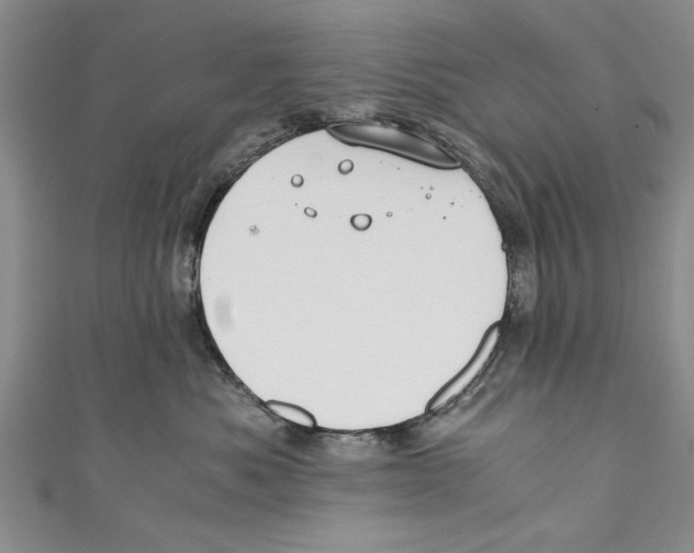 X0000110670525200907101109