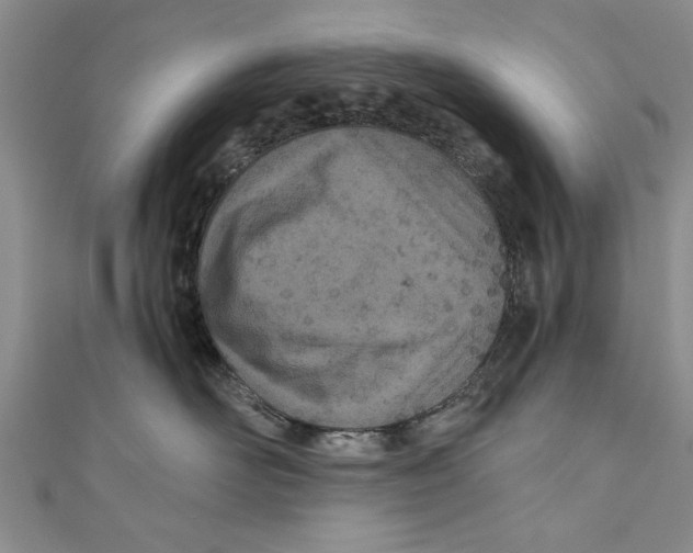 X0000110670526200907101109