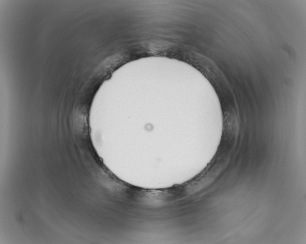 X0000110670527200907101109