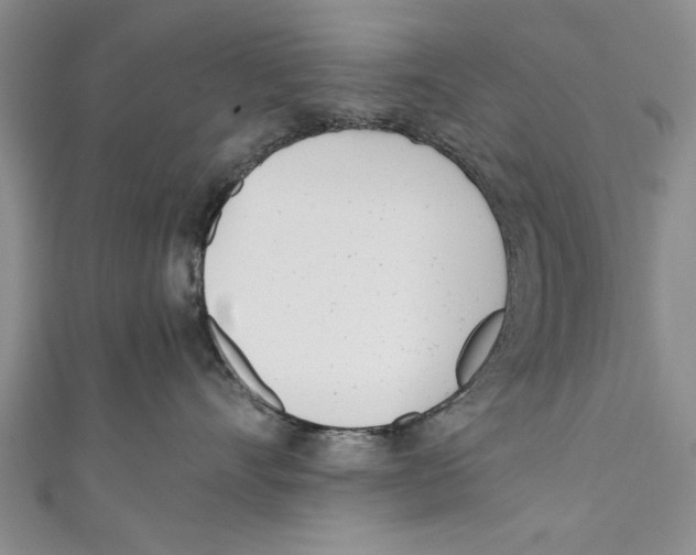 X0000110670528200907101109