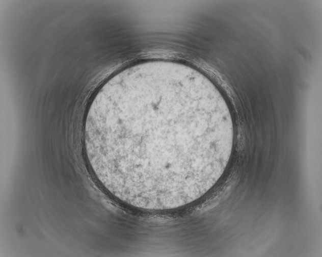 X0000110670529200907101108